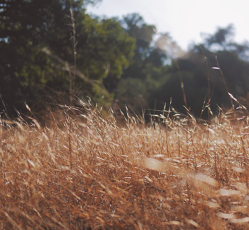 欢迎在宝塔面板安装Z-BlogPHP！